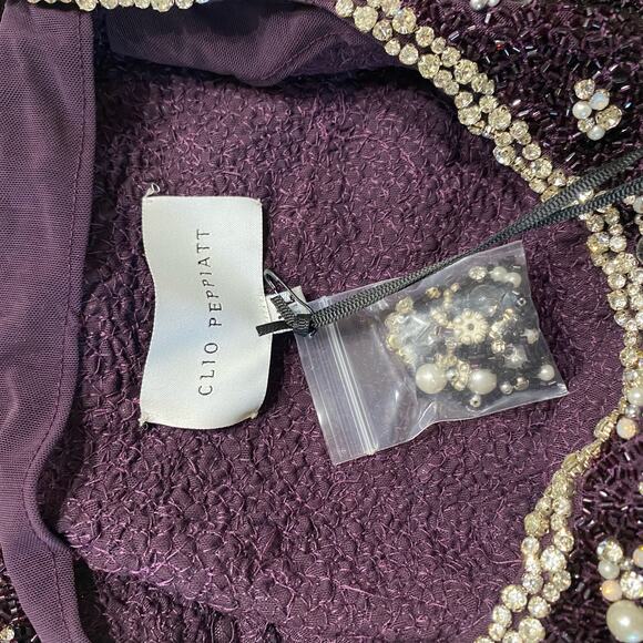 NWT Clio Peppiatt Wren Embellished Mini Dress - Jelly sz XXL - Picture 9 of 12